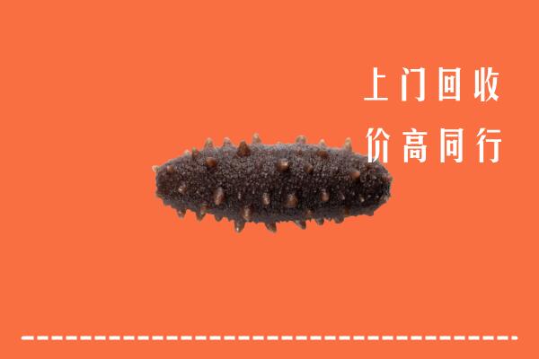 高价求购：牡丹江市回收海参