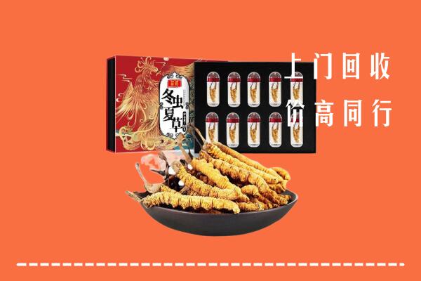 收购行情：牡丹江市回收虫草